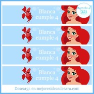 Etiquetas Botellitas La Sirenita (Texto Editable) para Imprimir | Imprimibles para fiestas | Mejores Ideas de Sara